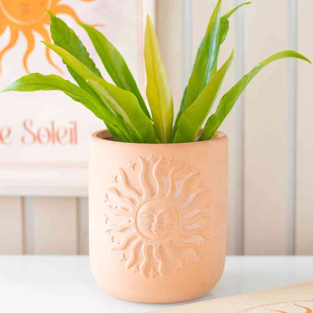 Something Different - Terracotta Sun Plantenpot - Multicolours